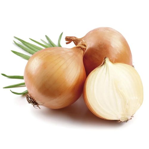 Cebola (2 a 3 un) 300G