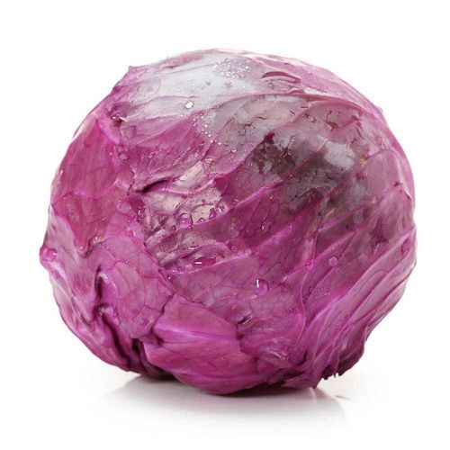 Repolho Roxo 1KG