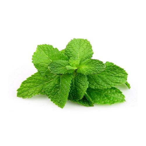 Hortela UNIDADE