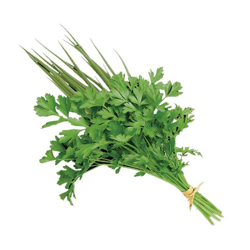 Cheiro-verde-UNIDADE