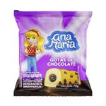 Bolo-ana-maria-gotas-de-chocolate-70G
