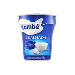 Coalhada-itambe-integral-130G