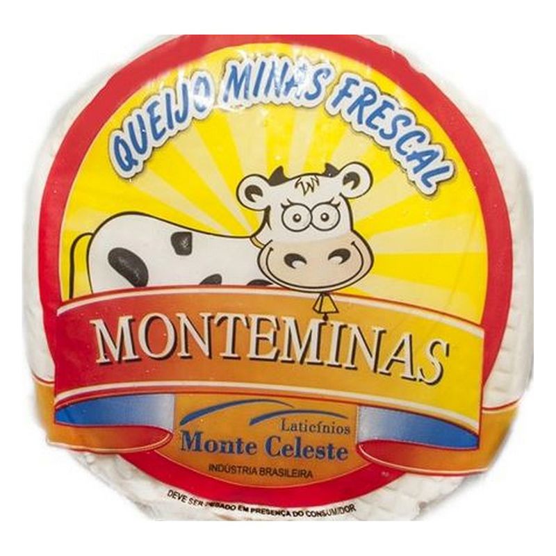 Queijo-minas-frescal-monteminas-100G