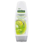 CONDICIONADOR-PALMOLIVE-NAT-DETOX-ENERGIZANTE-350ML