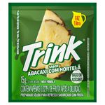 Refresco-po-trink-abacaxi-com-hortela-15G
