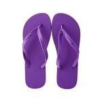 Sandalia-ipanema-classica-feminina-roxo-UNIDADE