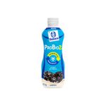 IOGURTE-BATAVO-PROBIO2-AMEIXA-850G