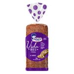 Pao-Panco-Vida-100--Integral-com-15-Graos-380G