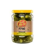 Pepino-Vale-Fertil-Vidro-300G