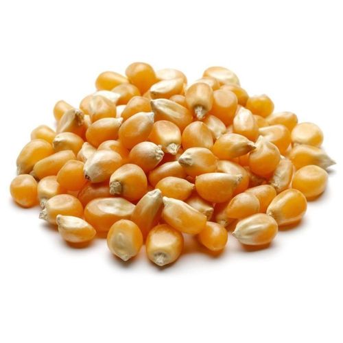 Milho Pipoca Armazem Granel 100G
