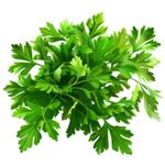 Salsa-Crespa-UNID