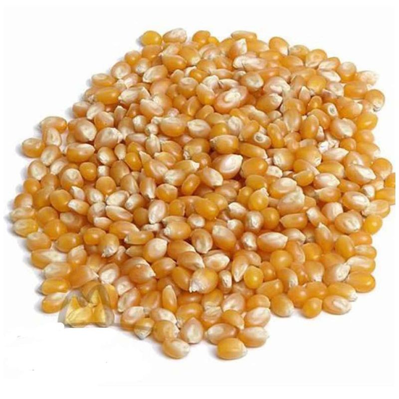 Milho-Pipoca-Armazem-Granel-100G